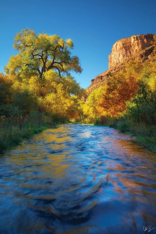 Lazy Autumn by Peter Coskun wall art