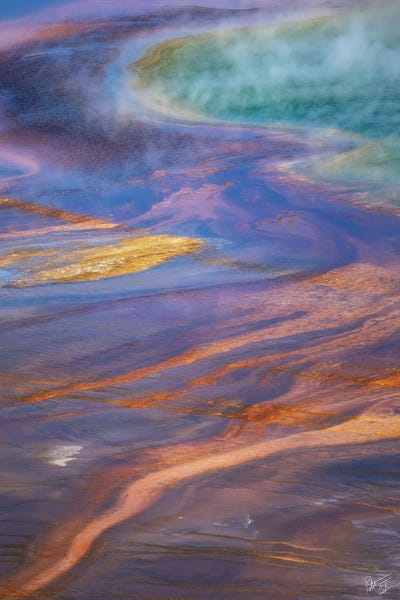 Thermal Path by Peter Coskun art print