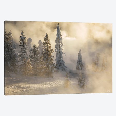 Golden Ghosts Canvas Print #PCS129} by Peter Coskun Canvas Artwork