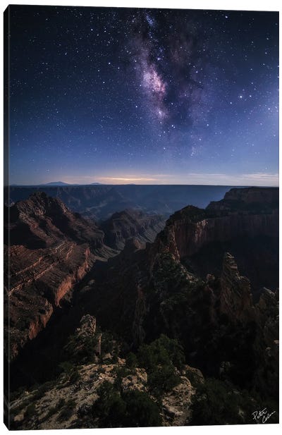 Beauty Of The Night Canvas Art Print - Peter Coskun