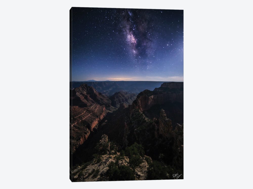 Beauty Of The Night by Peter Coskun 1-piece Canvas Wall Art