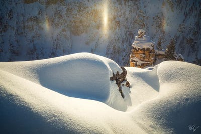 Smore's by Peter Coskun multi panel art