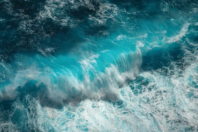 Wave Electric by Peter Coskun canvas print