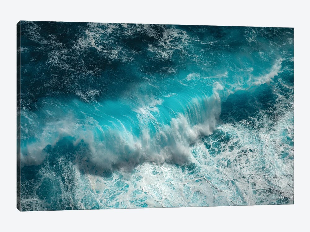 Wave Electric by Peter Coskun 1-piece Canvas Art Print