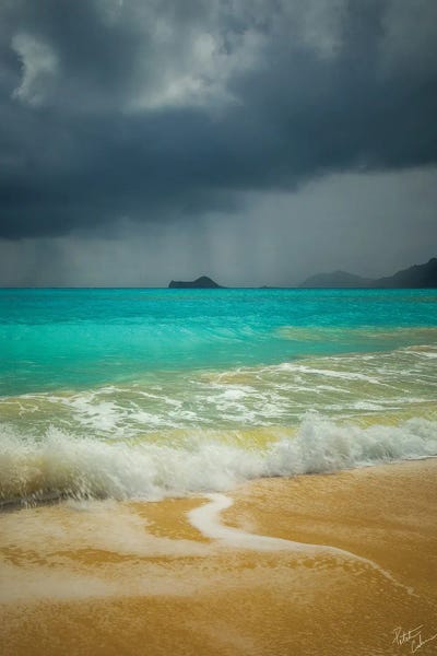 Bellows Storm by Peter Coskun art print