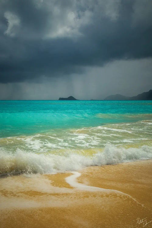 Bellows Storm by Peter Coskun wall art