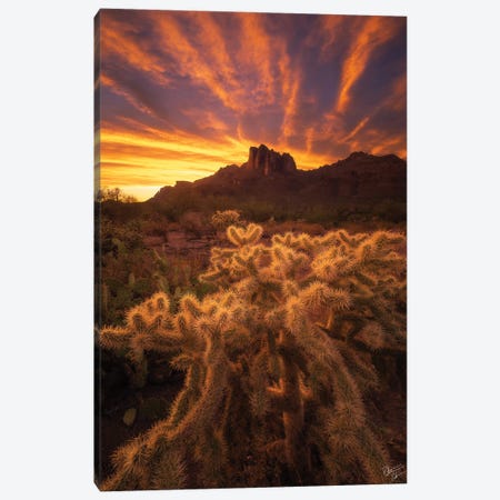 Roots Canvas Print #PCS134} by Peter Coskun Canvas Wall Art