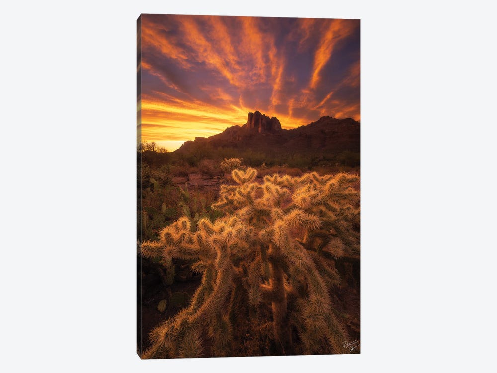 Roots by Peter Coskun 1-piece Canvas Art Print