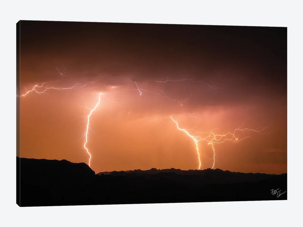 Head Spin by Peter Coskun 1-piece Canvas Art