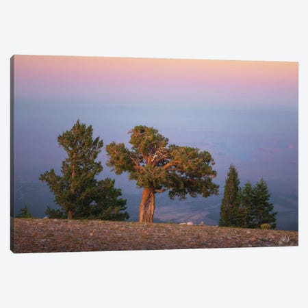 The Perch Canvas Print #PCS139} by Peter Coskun Canvas Print