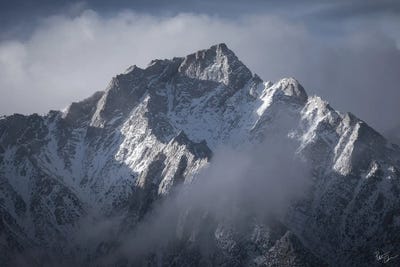 Blue Steel by Peter Coskun canvas print