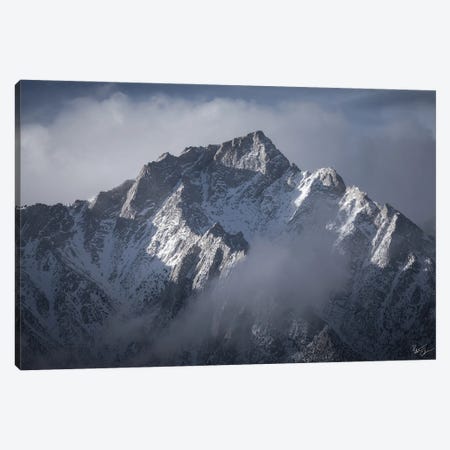 Blue Steel Canvas Print #PCS16} by Peter Coskun Canvas Wall Art