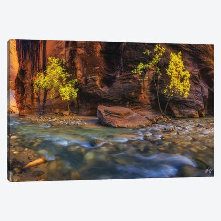 Canyon Smile Canvas Print #PCS22} by Peter Coskun Canvas Wall Art