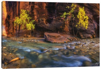 Canyon Smile Canvas Art Print - Peter Coskun