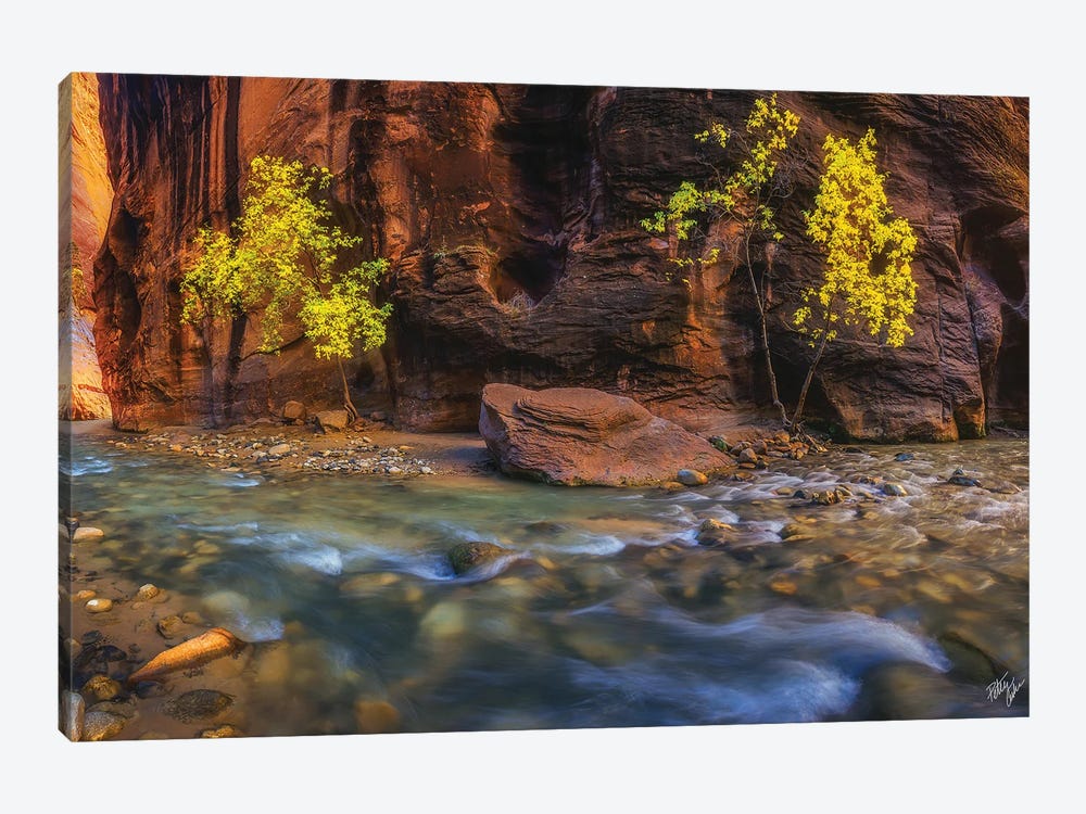 Canyon Smile by Peter Coskun 1-piece Canvas Art Print