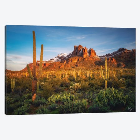 Chilly Morning Canvas Print #PCS25} by Peter Coskun Canvas Art Print