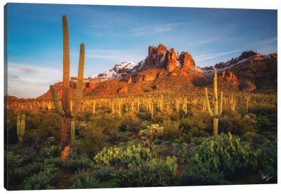 Chilly Morning Canvas Art Print - Peter Coskun