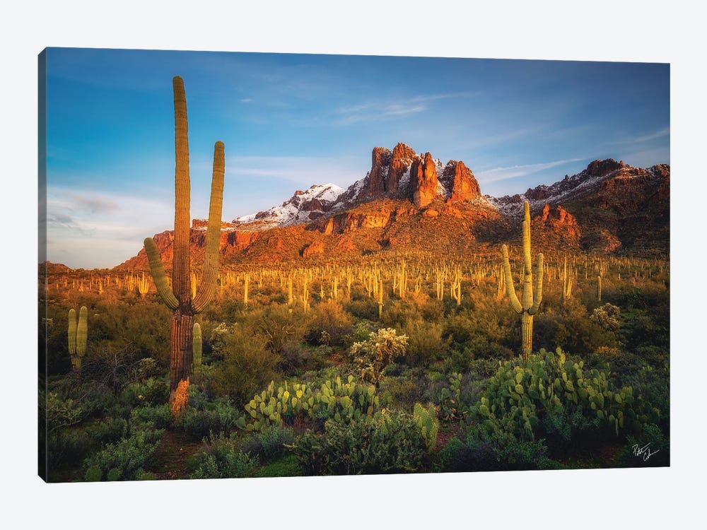 Chilly Morning by Peter Coskun 1-piece Canvas Wall Art