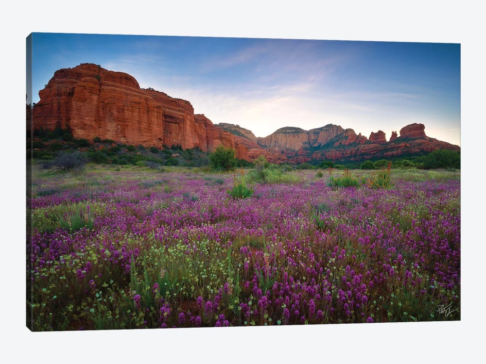 Clovers And Cream by Peter Coskun 1-piece Canvas Artwork