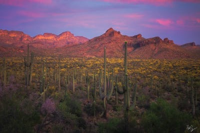 Colors Of Peralta by Peter Coskun canvas print