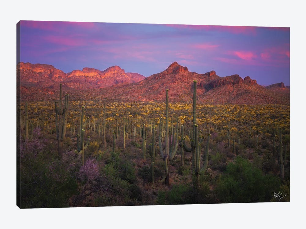 Colors Of Peralta Canvas Wall Art by Peter Coskun | iCanvas