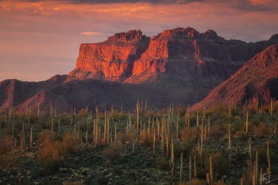 Crimson Flat Iron by Peter Coskun art print