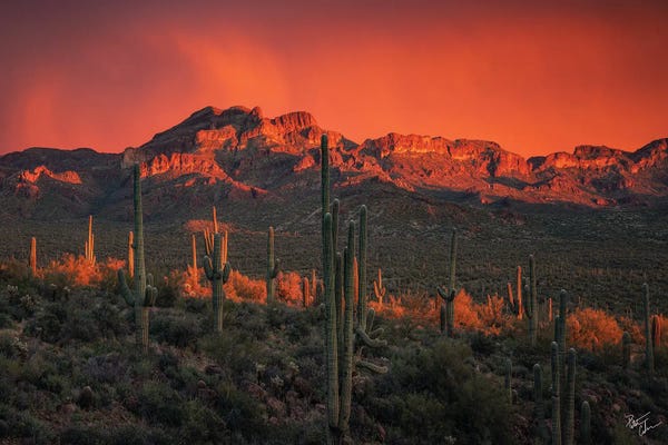 Home On The Range: Cowboy Campfire by Peter Coskun
