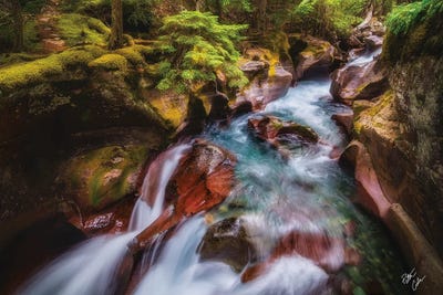 Cut by Peter Coskun framed canvas print