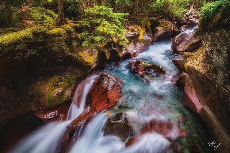 Cut by Peter Coskun wall art