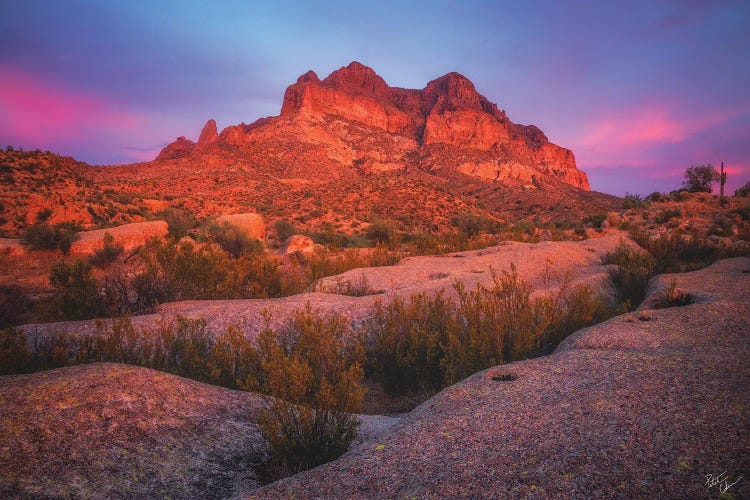 Crimson Picket Post by Peter Coskun wall art