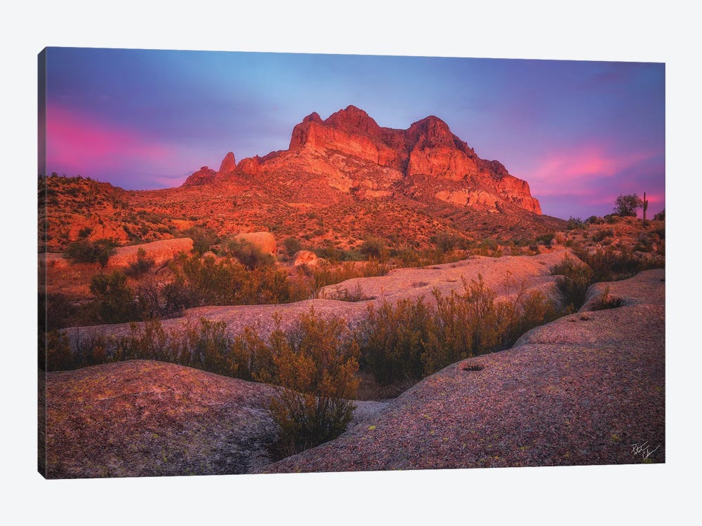 Crimson Picket Post by Peter Coskun 1-piece Canvas Wall Art