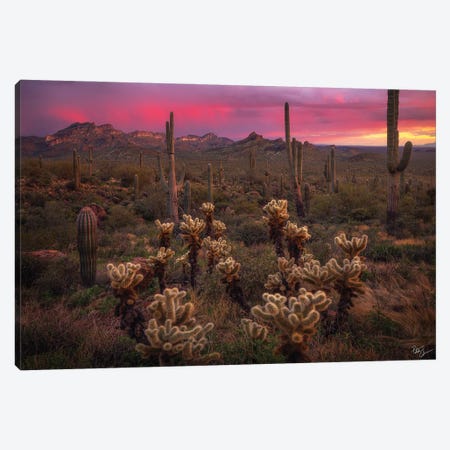 Dance Of The Desert Canvas Print #PCS34} by Peter Coskun Canvas Wall Art
