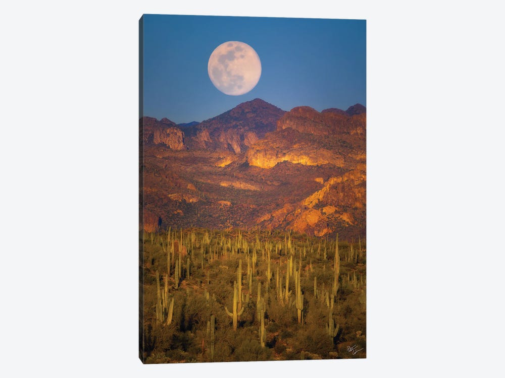 Desert Moonrise by Peter Coskun 1-piece Art Print