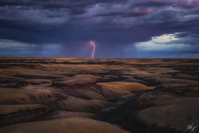 Desert Storm by Peter Coskun art print