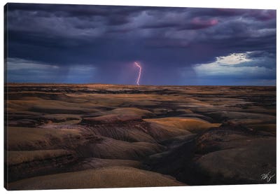 Desert Storm Canvas Art Print - Peter Coskun