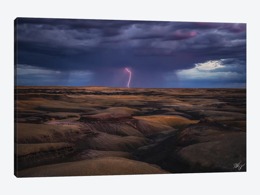 Desert Storm by Peter Coskun 1-piece Canvas Print