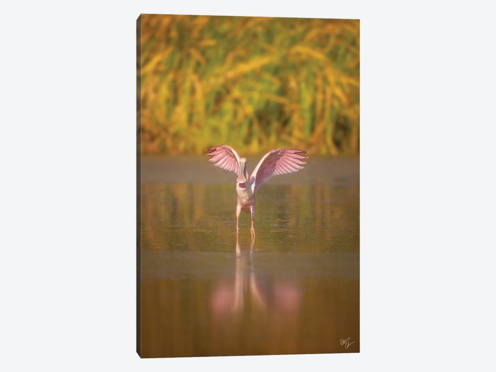 Going Spooning by Peter Coskun 1-piece Canvas Print