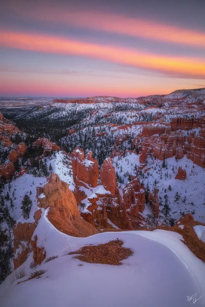 Ice Cream Desert by Peter Coskun art print