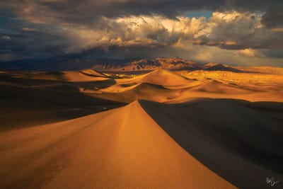 Distant by Peter Coskun canvas print