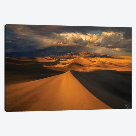 Distant Canvas Print #PCS40} by Peter Coskun Canvas Wall Art