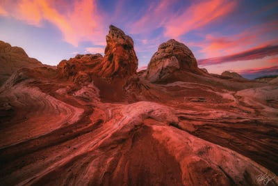 Dragon Heads by Peter Coskun framed canvas print