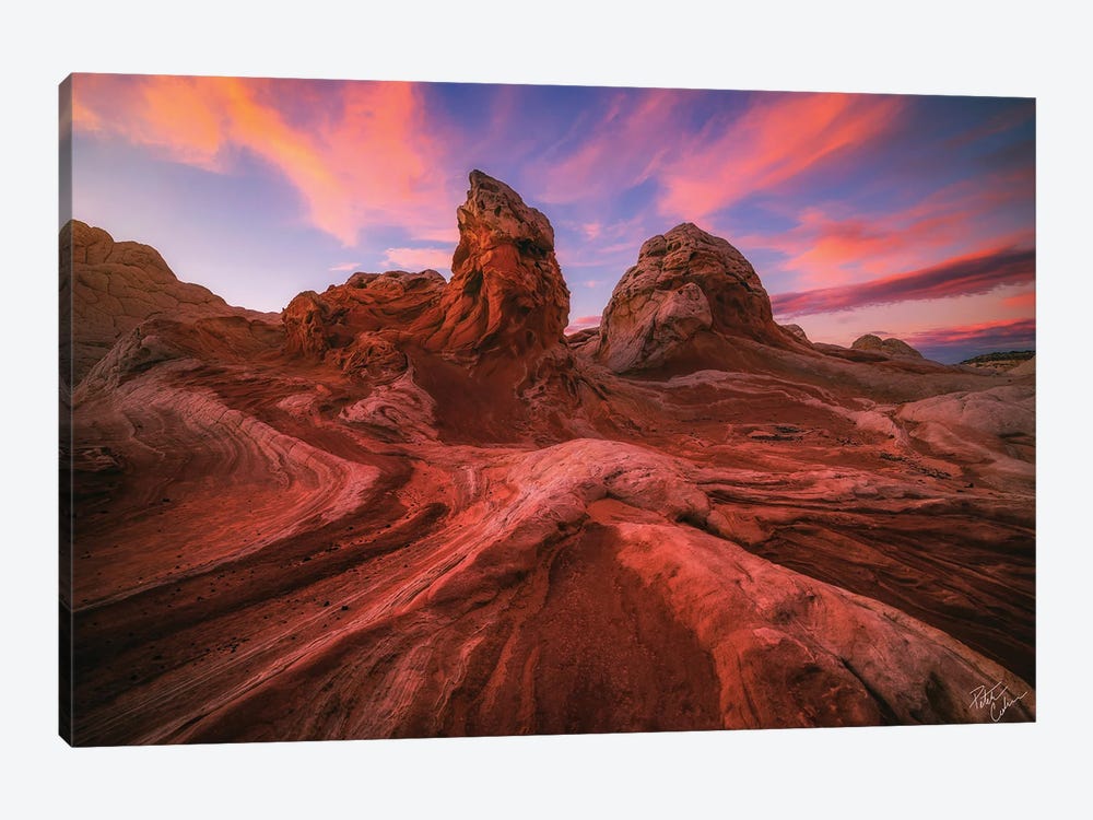 Dragon Heads by Peter Coskun 1-piece Canvas Art