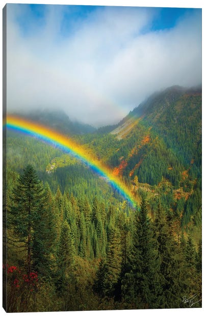 Dreaming Canvas Art Print - Rainbow Art