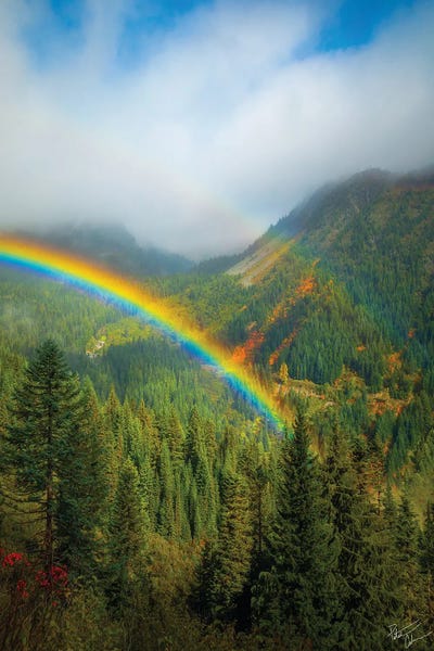Rainbows: Dreaming by Peter Coskun