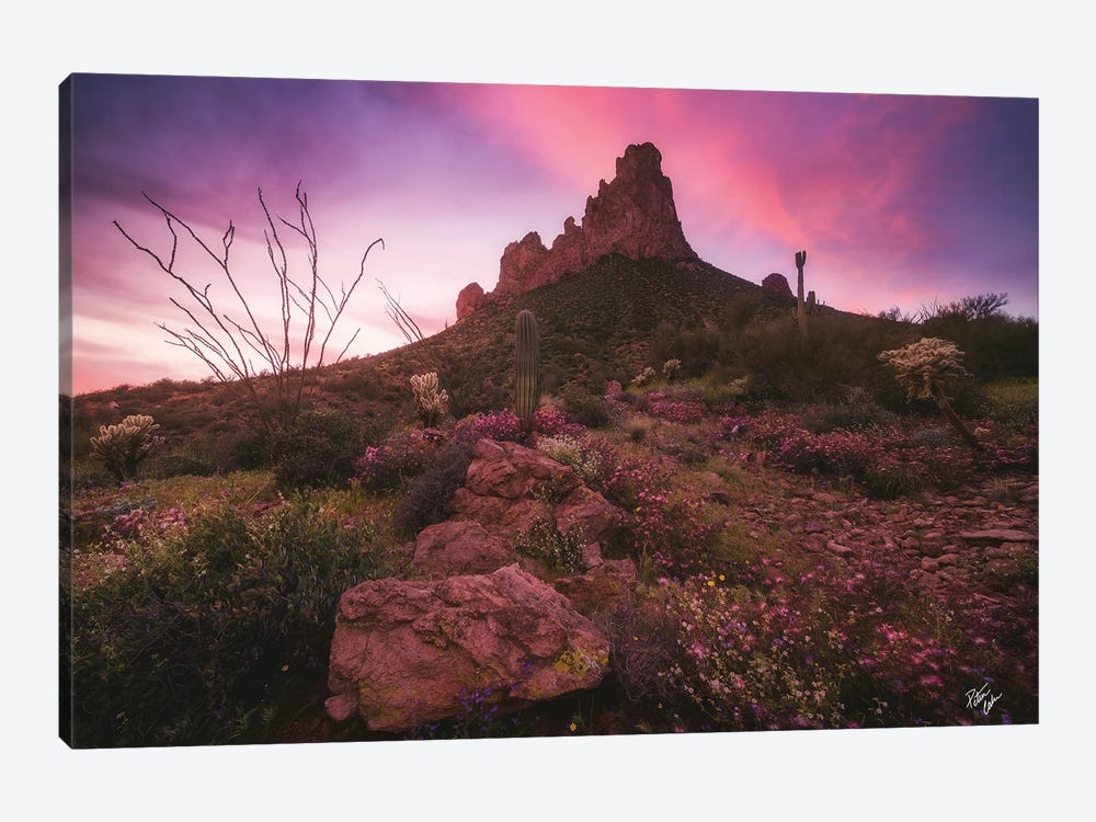 Fairy Tales by Peter Coskun 1-piece Canvas Wall Art