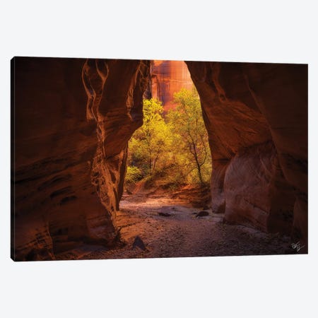 Fall This Way Canvas Print #PCS44} by Peter Coskun Art Print