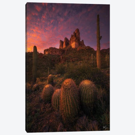 Family Gathering Canvas Print #PCS45} by Peter Coskun Canvas Art Print