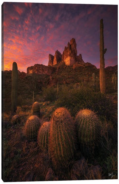 Family Gathering Canvas Art Print - Peter Coskun