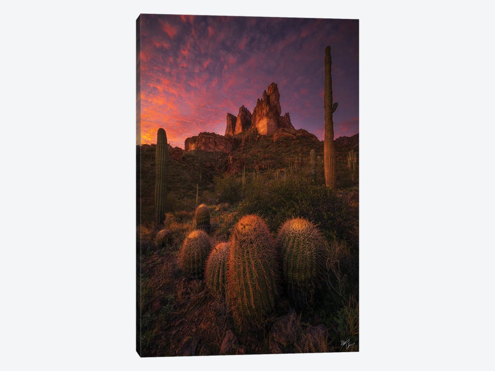Family Gathering by Peter Coskun 1-piece Canvas Artwork