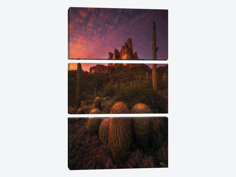 Family Gathering by Peter Coskun 3-piece Canvas Wall Art